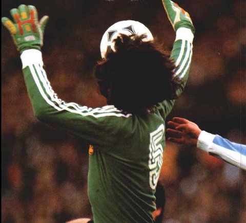 El Buzo verde del pato