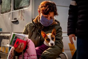 Quirofano-movil-de-Zoonosis