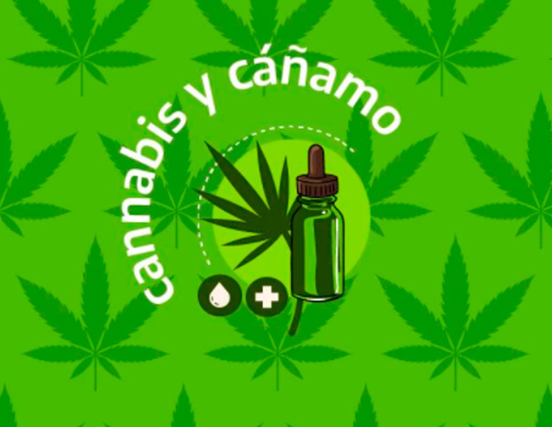 RELEVAMIENTO ANONIMO DE PRODUCTORES DE CANNABIS Y CÁÑAMO
