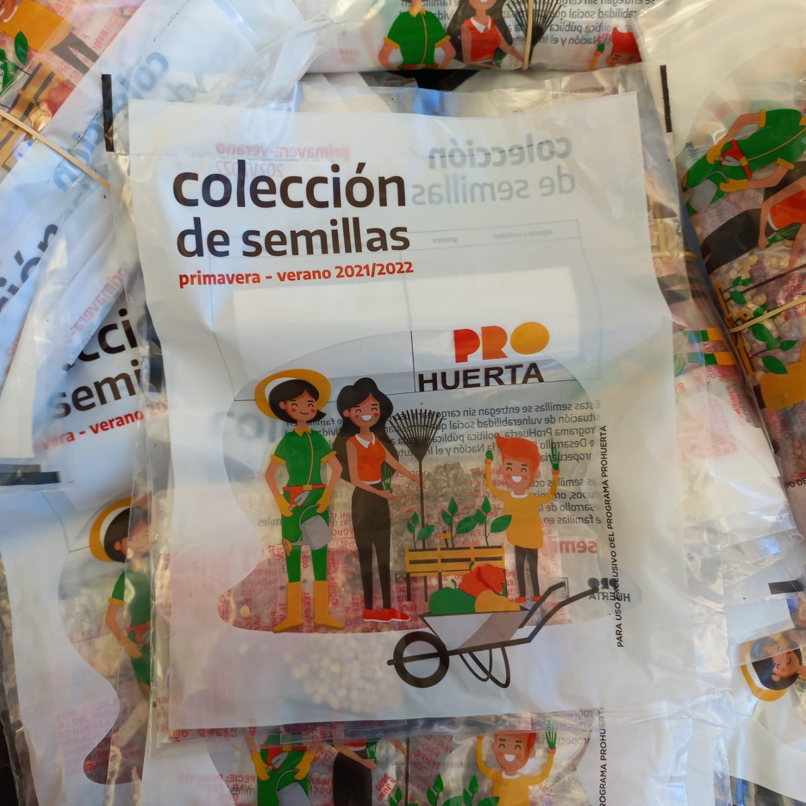 ENTREGA DE SEMILLAS PRO-HUERTA