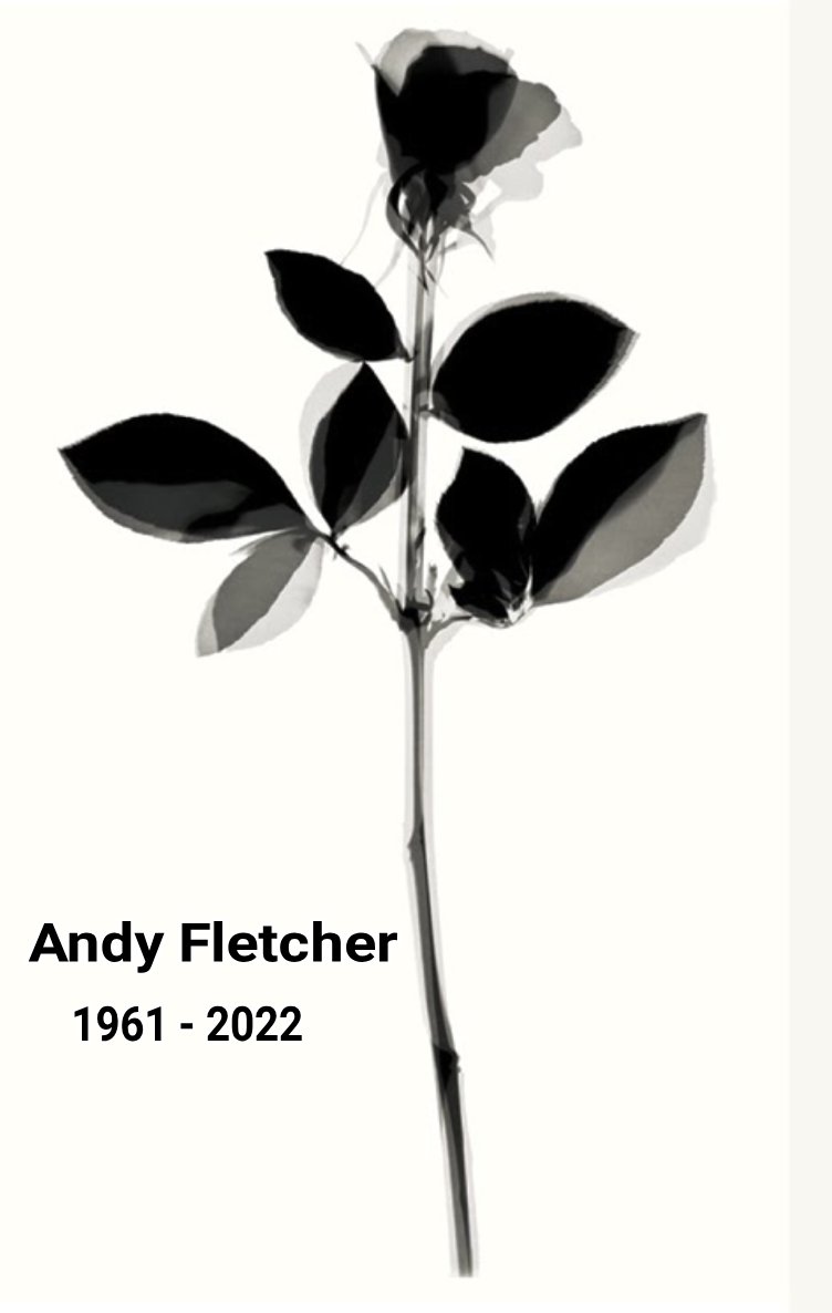 Flor Fletcher