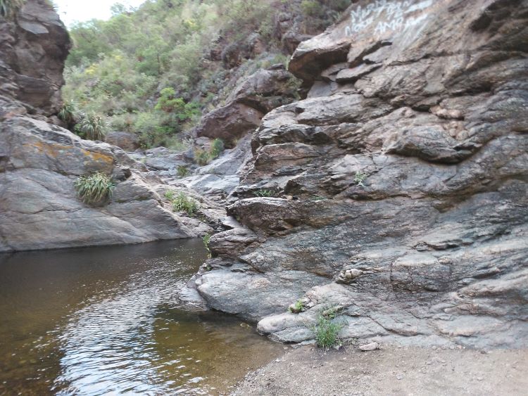 POESÍA + MÚSICA: Presencia Ausente + Esperando Nacer