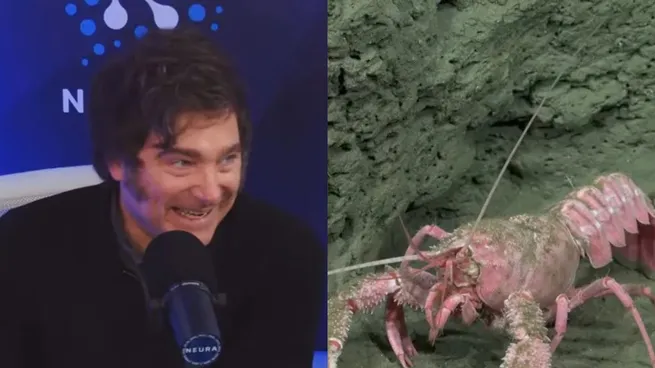 UN STREAMING EXISTOSO DEL CONICET